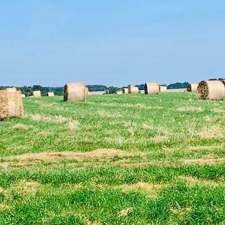 Maison Pour Les Vacances Et Les Evenements 12 Personnes