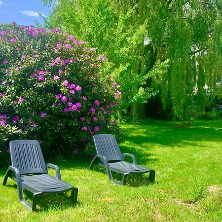 Maison Pour Les Vacances Et Les Evenements 12 Personnes * La Desverie