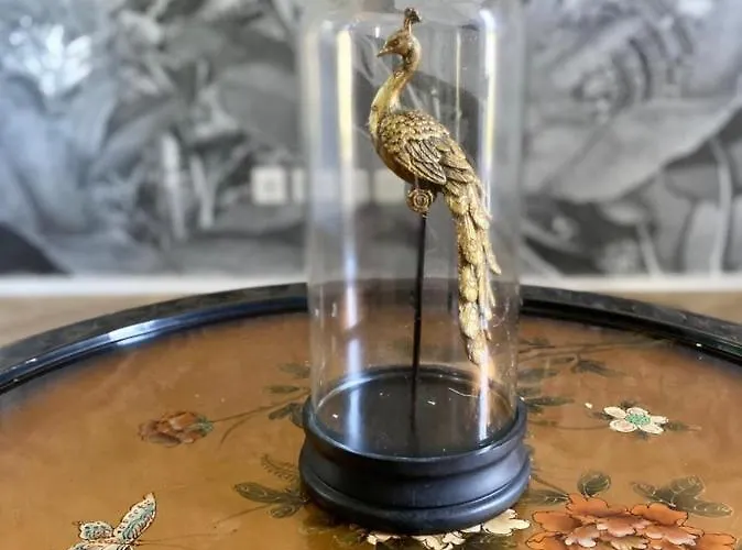 Villa Maison Pour Les Vacances Et Les Evenements 12 Personnes *