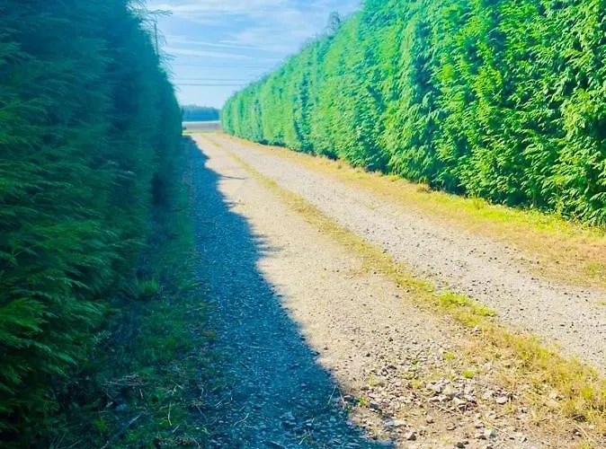 Villa Maison Pour Les Vacances Et Les Evenements 12 Personnes