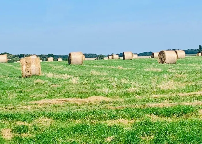 Maison Pour Les Vacances Et Les Evenements 12 Personnes